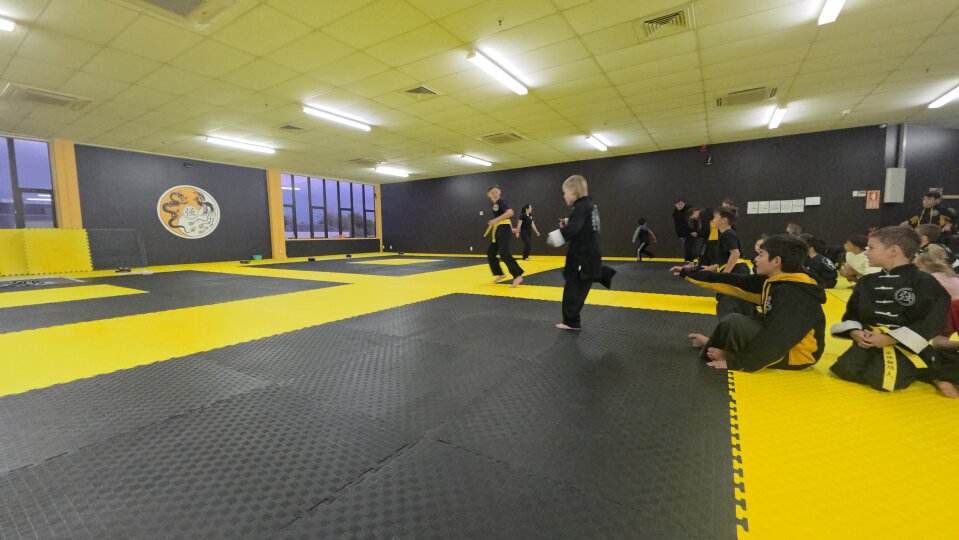 Kung Fu Academy NZ (KFANZ) 永恒强功夫 - Image 8 of 12