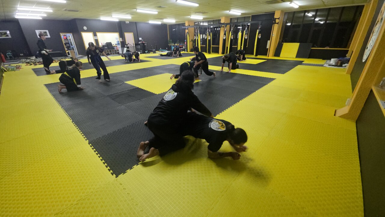 Kung Fu Academy NZ (KFANZ) 永恒强功夫 - Image 5 of 12