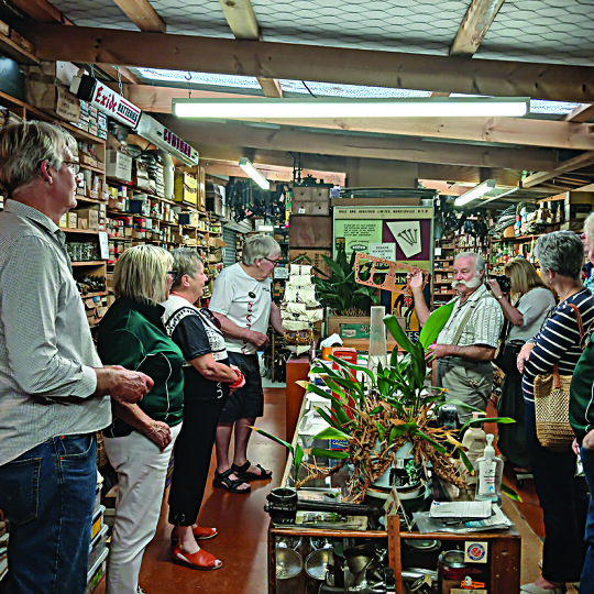 Manawatu Jaguar Club Inc. - Image 7 of 9